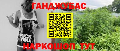 spice Владимир