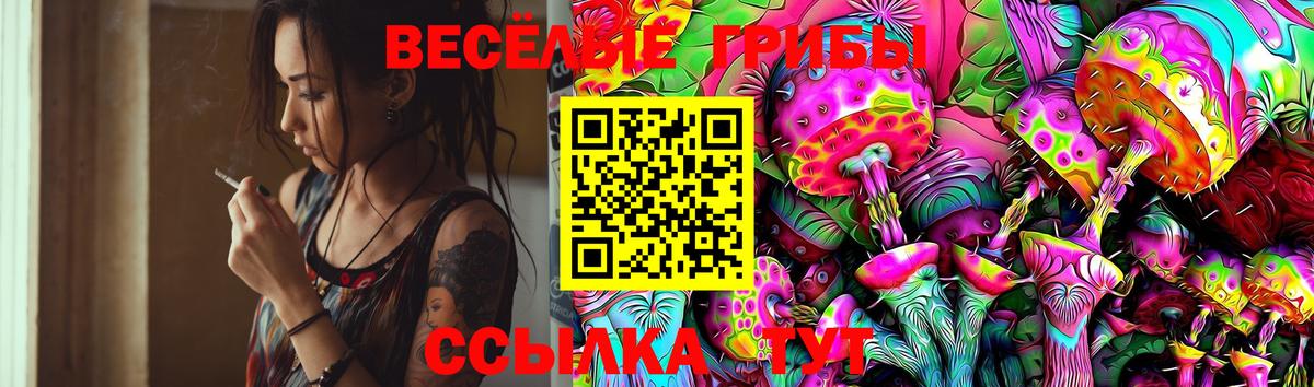 Псилоцибиновые грибы прущие грибы Казань
