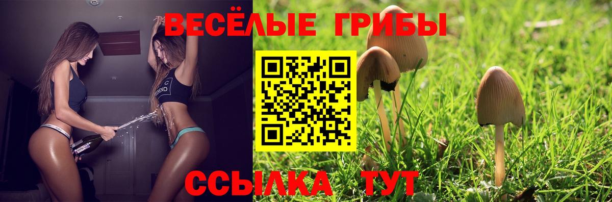 Казань  Галлюциногенные грибы GOLDEN TEACHER  Вход с VPN 